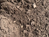 Unscreened Topsoil