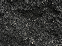 Jet Black Mulch